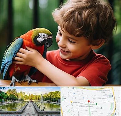 پانسیون پرندگان در سرسبز 