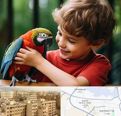 پانسیون پرندگان در جنوب غرب تهران