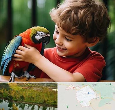 پانسیون پرندگان در بهبهان