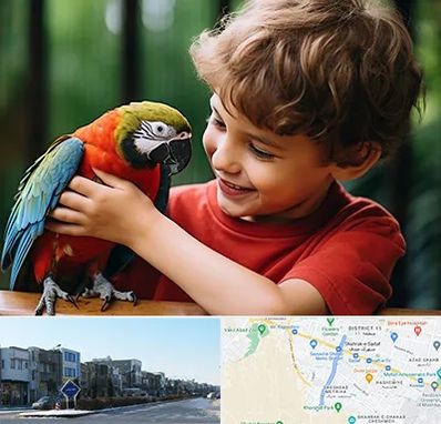 پانسیون پرندگان در شریعتی مشهد 