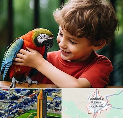 پانسیون پرندگان در گنبد کاووس
