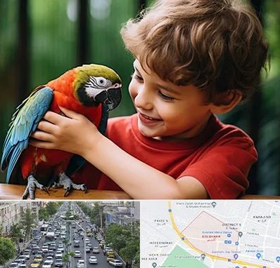 پانسیون پرندگان در گلشهر کرج 