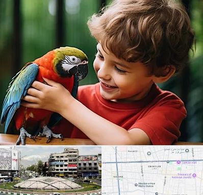 پانسیون پرندگان در مرکز تهران