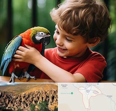 پانسیون پرندگان در اسکو