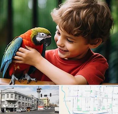 پانسیون پرندگان در 17شهریور