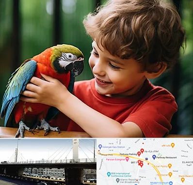 پانسیون پرندگان در پارک وی 