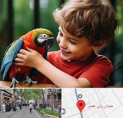 پانسیون پرندگان در ولیعصر شهریار