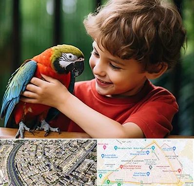 پانسیون پرندگان در شهرک غرب مشهد 