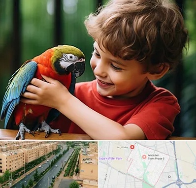 پانسیون پرندگان در فاز سه اندیشه