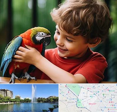 پانسیون پرندگان در کوهسنگی مشهد 