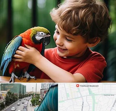 پانسیون پرندگان در بلوار فرحزادی