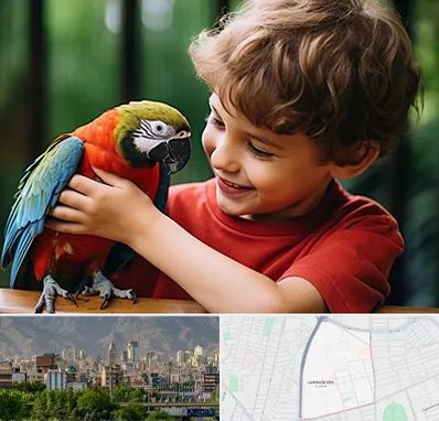 پانسیون پرندگان در جمشیدیه