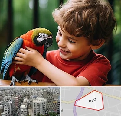 پانسیون پرندگان در آذری