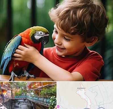 پانسیون پرندگان در درکه