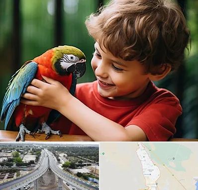 پانسیون پرندگان در اندیمشک