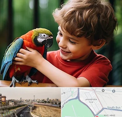 پانسیون پرندگان در جوادیه