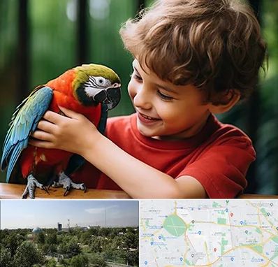 پانسیون پرندگان در منطقه 16 تهران 