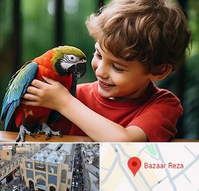 پانسیون پرندگان در بازار رضا مشهد