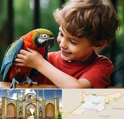 پانسیون پرندگان در سمنان