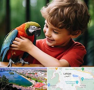 پانسیون پرندگان در لاهیجان