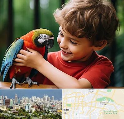 پانسیون پرندگان در شرق تهران 