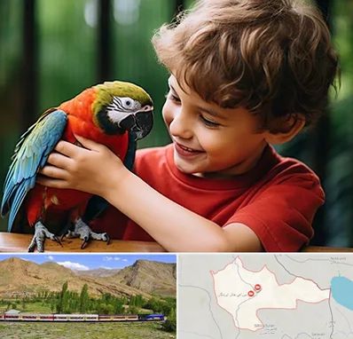 پانسیون پرندگان در خاش