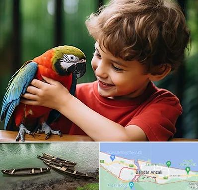 پانسیون پرندگان در بندر انزلی