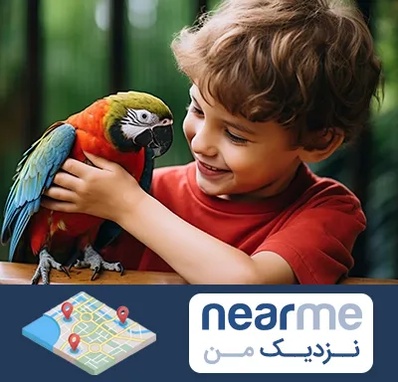 پانسیون پرندگان در نزدیک من