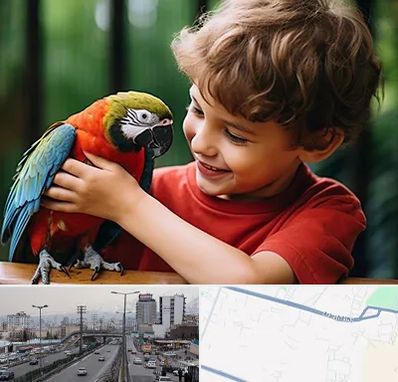 پانسیون پرندگان در بلوار ارتش