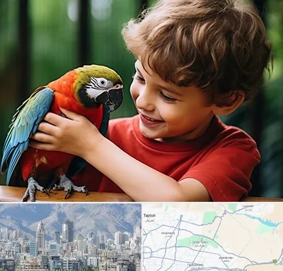 پانسیون پرندگان در شمال شرق تهران