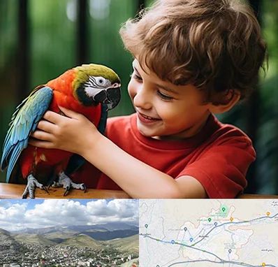 پانسیون پرندگان در رودهن