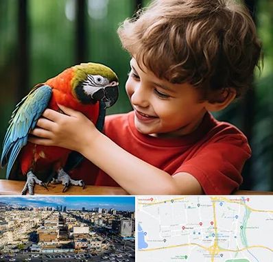 پانسیون پرندگان در شهرک راه آهن 