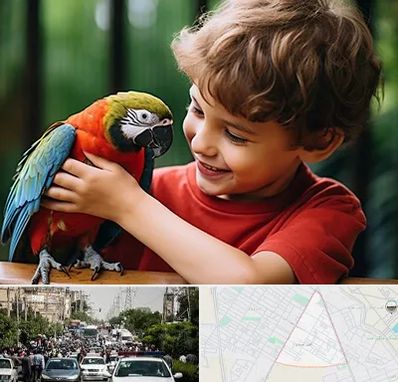 پانسیون پرندگان در سیدی مشهد