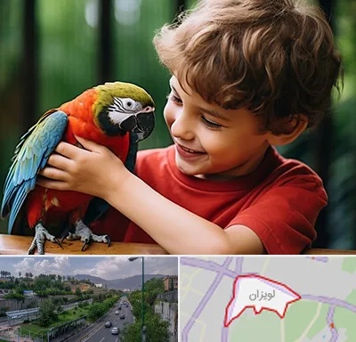 پانسیون پرندگان در لویزان