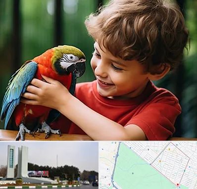 پانسیون پرندگان در بلوار فلسیطین مشهد