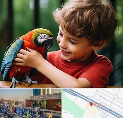 پانسیون پرندگان در لاله پارک تبریز