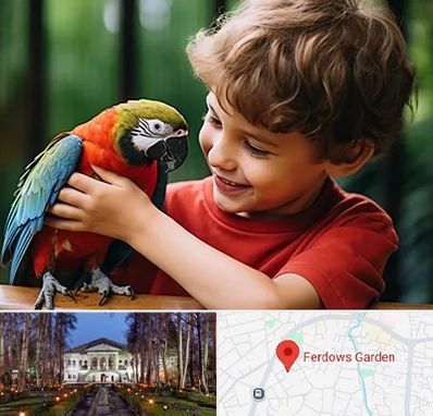 پانسیون پرندگان در باغ فردوس
