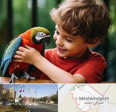 پانسیون پرندگان در مشکین دشت