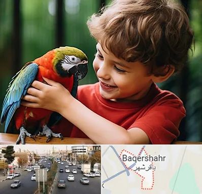 پانسیون پرندگان در باقرشهر