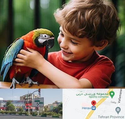 پانسیون پرندگان در هروی 