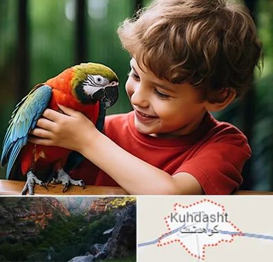 پانسیون پرندگان در کوهدشت