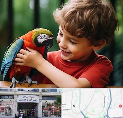 پانسیون پرندگان در ایران زمین