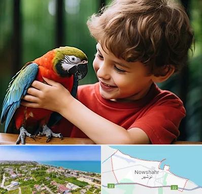 پانسیون پرندگان در نوشهر