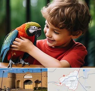 پانسیون پرندگان در ایرانشهر