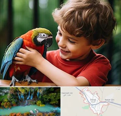 پانسیون پرندگان در دورود