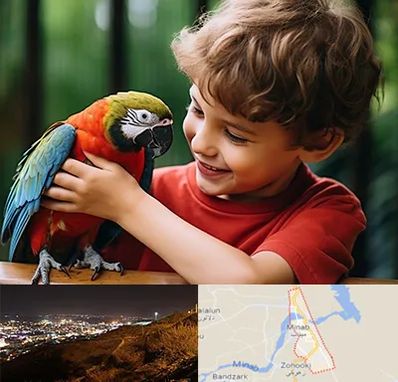پانسیون پرندگان در میناب