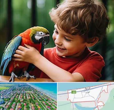 پانسیون پرندگان در نور
