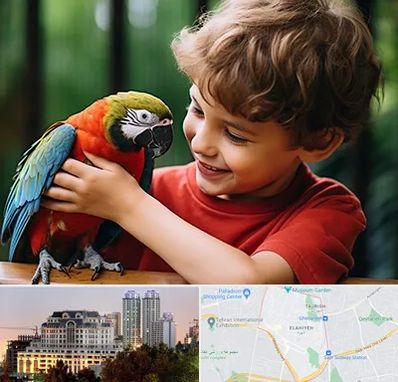 پانسیون پرندگان در فرشته 