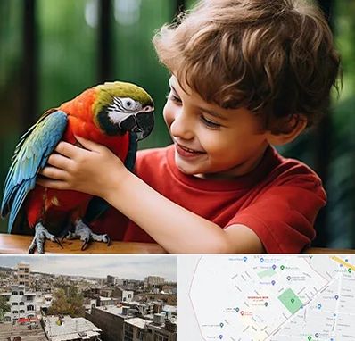 پانسیون پرندگان در شمیران نو 