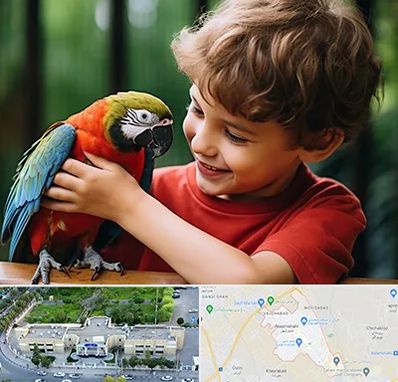 پانسیون پرندگان در نسیم شهر